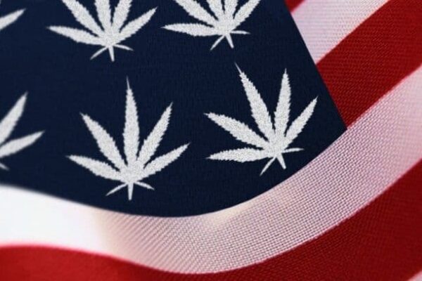 Canopy Growth CEO legale cannabis verkoop maine nebraska Amerikaanse verkiezingen cannabis legalisatie amerikaanse congres more act georgia