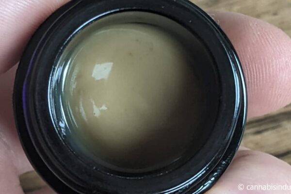 Coffeeshop Magic Rosin extracties winnaar Highlife Cup 2022 hasj overall shaher